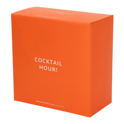 Set de 2 verres à Cocktail