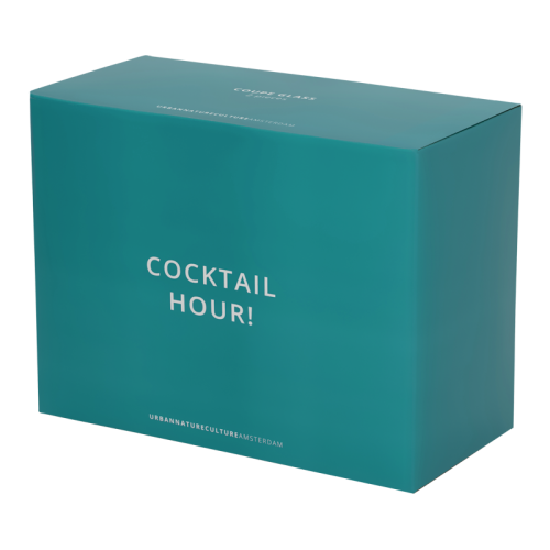 Set de 2 verres à cocktail