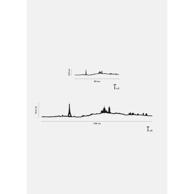 Paris - The Line noir 50 cm